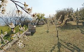 Dimora Montelago Apartment Roby